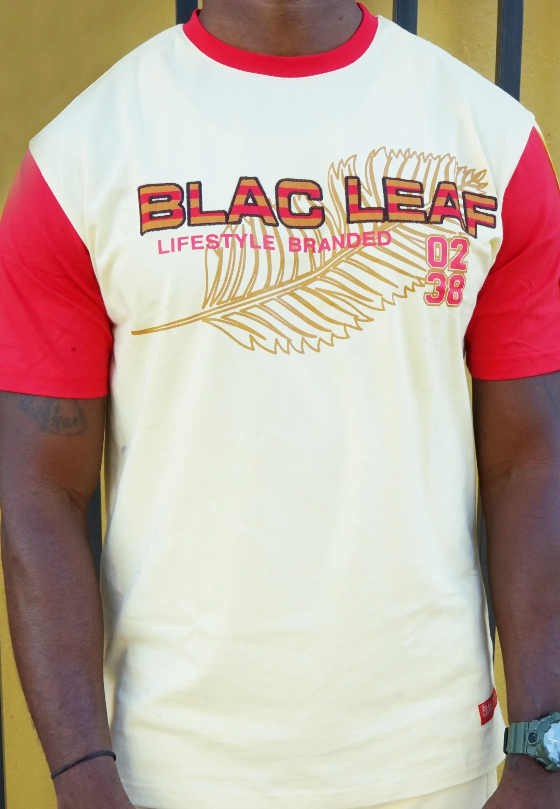 Leaf Logo Q Series Shirt